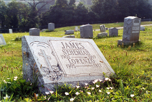 graf Skip James