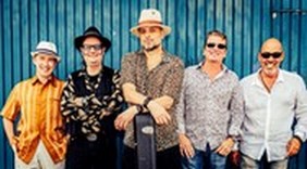 Fat Harry & The Fuzzy Licks