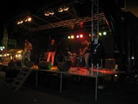 The Radical Roosters